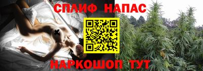 ешки Краснознаменск