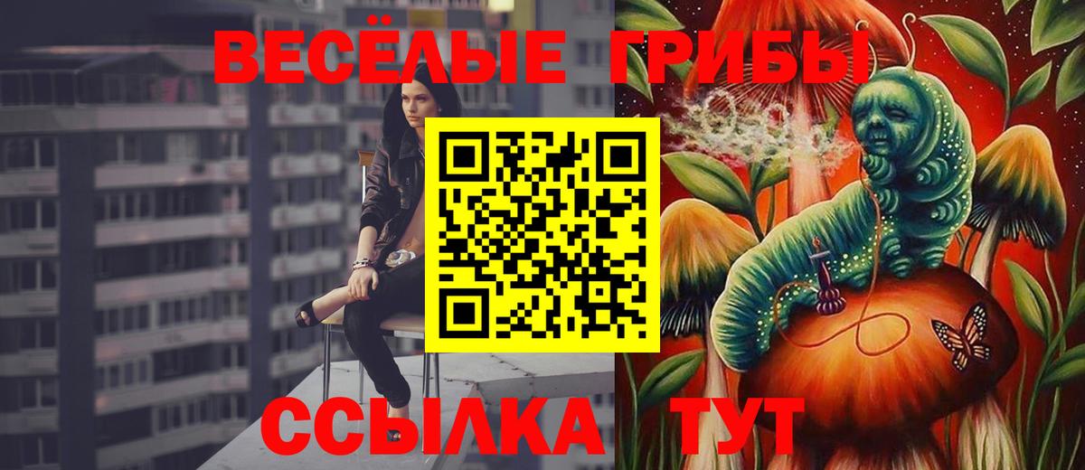 даркнет сайт  Псилоцибиновые грибы Psilocybe  Вход с VPN  Касимов 